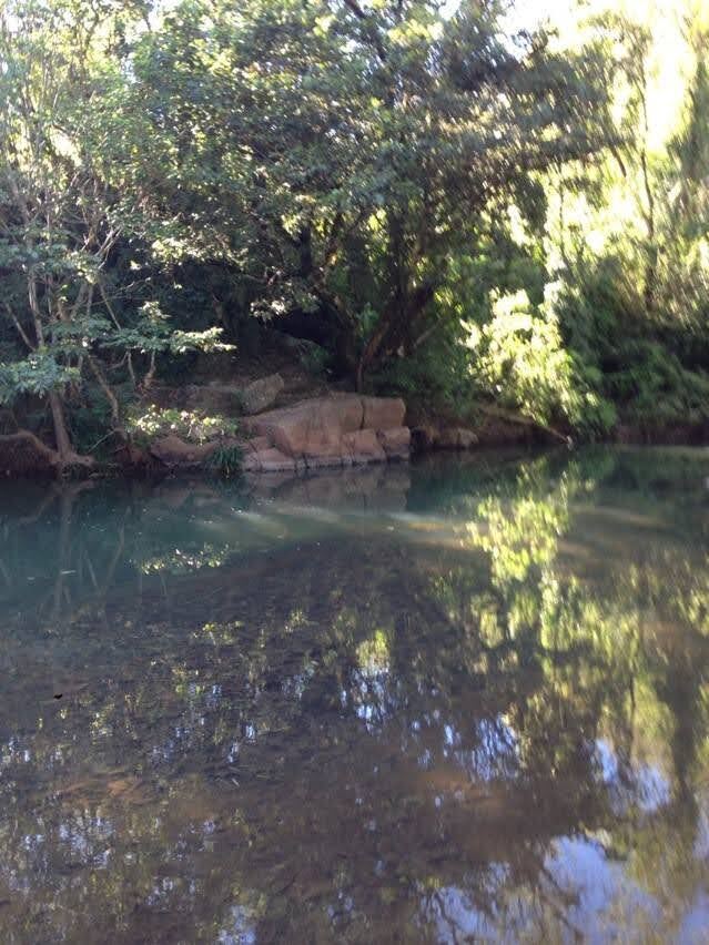 Arroyo natural en la propiedad